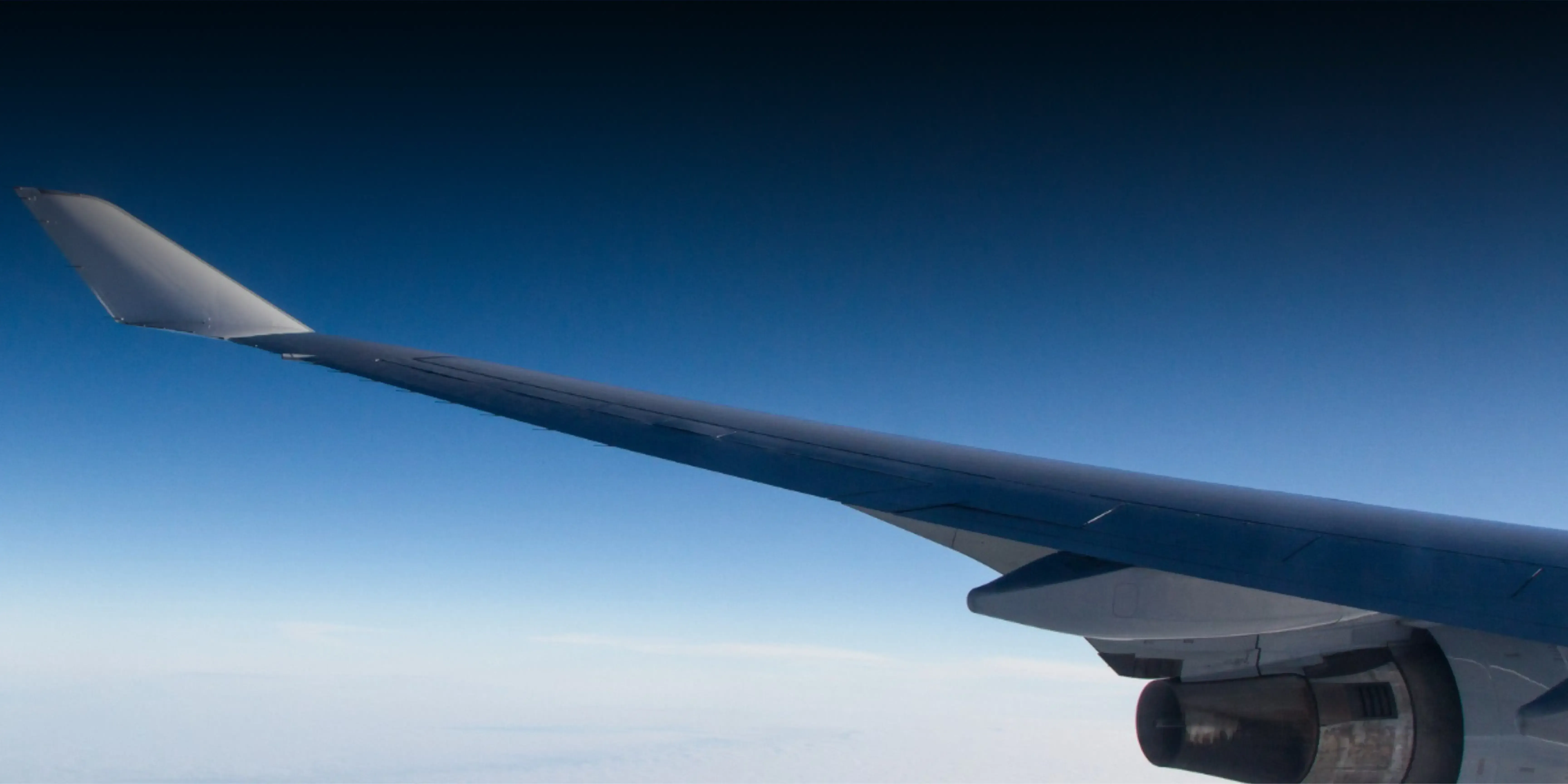 Newsletter Banner